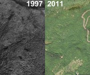 Black Mountain Aerial Imagery, 1997 vs. 2011