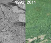 Evergreen Valley Aerial Imagery, 1992 vs. 2011