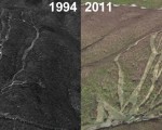 Brodie Aerial Imagery, 1994 vs. 2011
