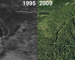 Mt. Watatic Aerial Imagery, 1995 vs. 2009