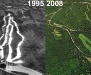 Wachusett Aerial Imagery, 1995 vs. 2008
