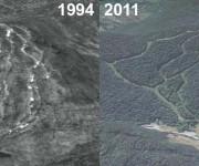 Balsams Wilderness Aerial Imagery, 1994 vs. 2011