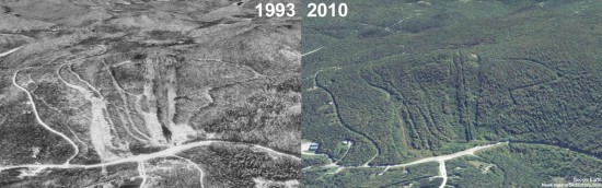 Dutch Hill Aerial Imagery, 1993 vs. 2010