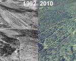 Hogback Aerial Imagery, 1992 vs. 2010